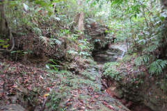 IMG-20160515-WA0012-Copy